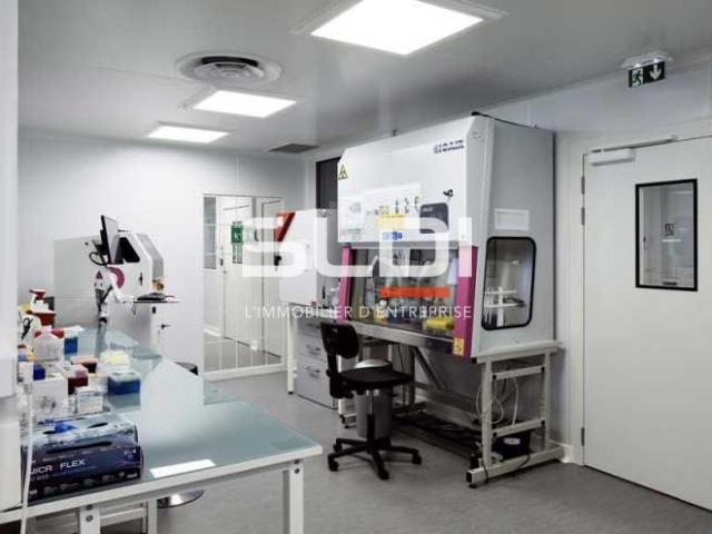 Bureaux A LOUER - LYON - 3 646 m²