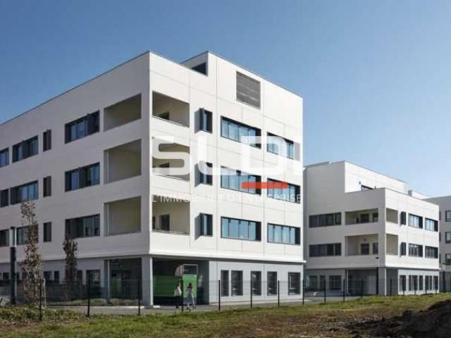 Bureaux A LOUER - LYON - 3 646 m²