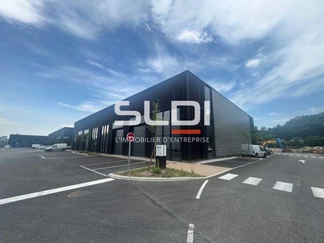 Locaux d'activités A VENDRE - TREVOUX - 1 341 m²