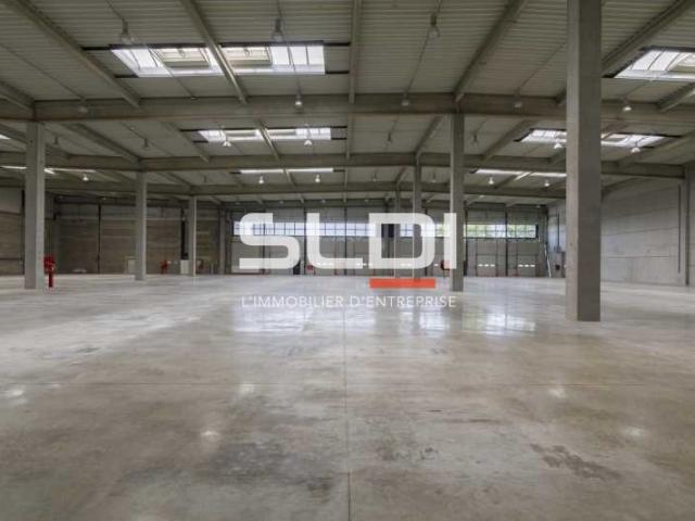 Locaux d'activités A LOUER - MIRIBEL - 9 623 m²