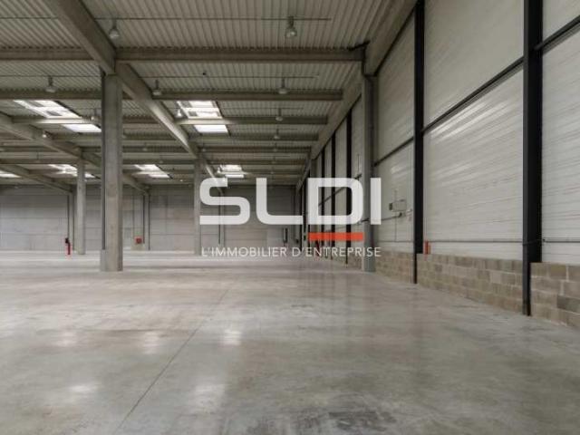 Locaux d'activités A LOUER - MIRIBEL - 9 623 m²