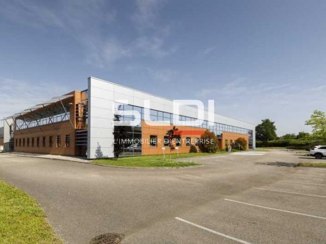 Locaux d'activités A LOUER - MIRIBEL - 9 623 m²