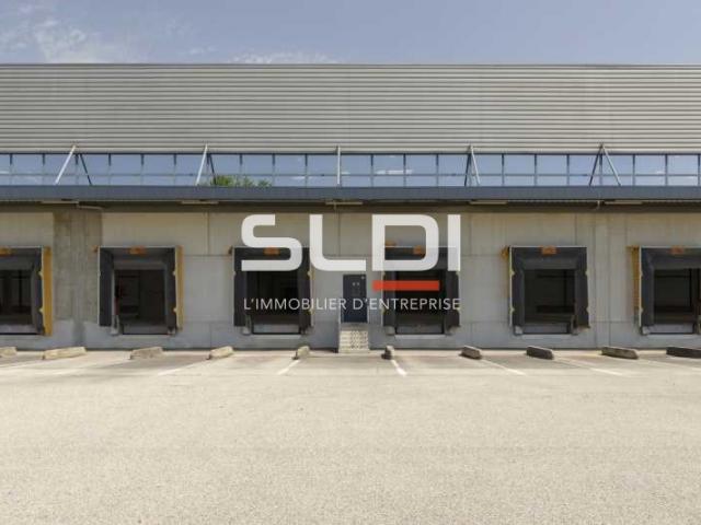 Locaux d'activités A LOUER - MIRIBEL - 9 623 m²