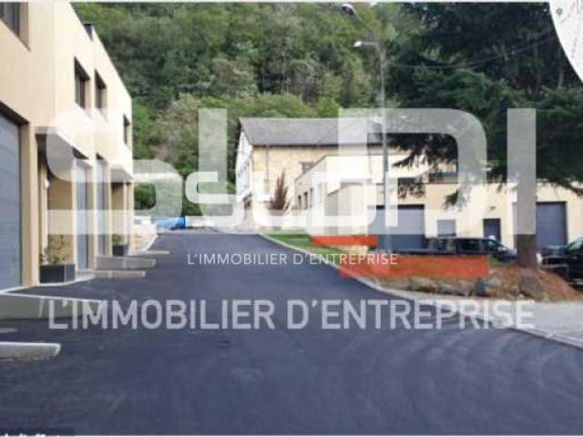 Bureaux A LOUER - FLEURIEU SUR SAONE - 200 m²