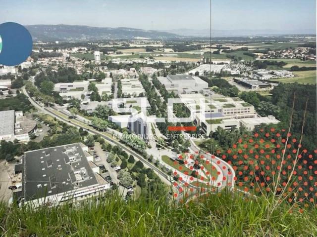 Locaux d'activités A LOUER - RILLIEUX LA PAPE - 11 549 m²