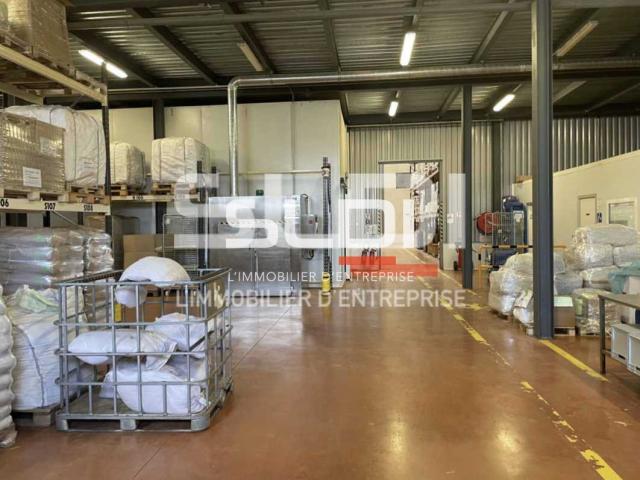 Locaux d'activités A VENDRE OU A LOUER - LOZANNE - 2 680 m²