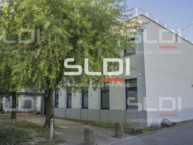 Locaux d'activités A LOUER - VILLEURBANNE - 385 m²