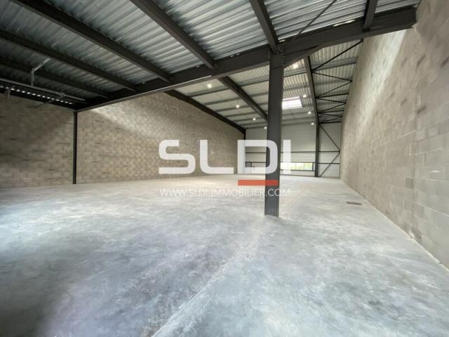 Locaux d'activités A LOUER - DAGNEUX - 565 m²