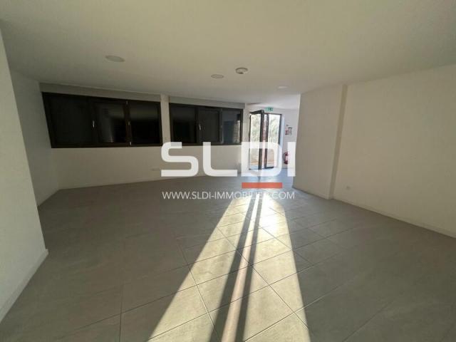 Commerces A LOUER - JASSANS RIOTTIER - 224 m²