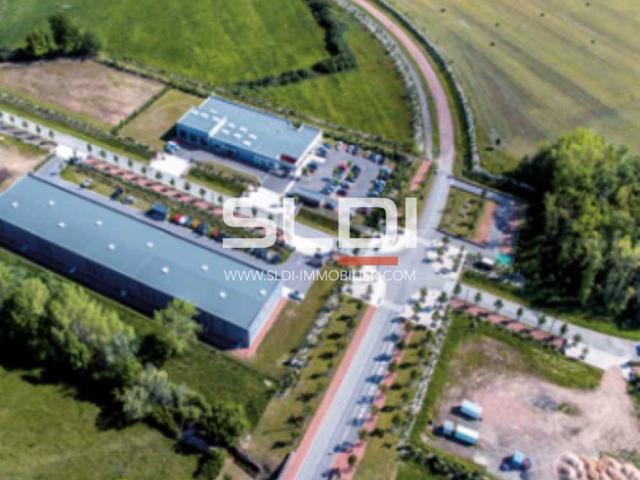 Terrains A VENDRE - MABLY - 5 000 m²