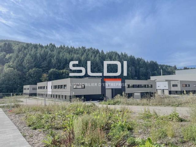 Locaux d'activités A VENDRE OU A LOUER - TARARE - 2 741 m²