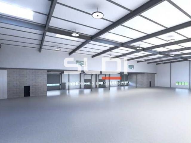 Locaux d'activités A VENDRE OU A LOUER - DECINES CHARPIEU - 4 887 m²