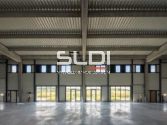 Locaux d'activités A LOUER - VILLEFONTAINE - 3 000 m²