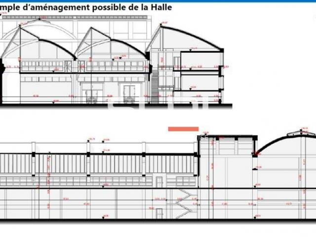 Locaux d'activités A VENDRE - GIVORS - 4 387 m²