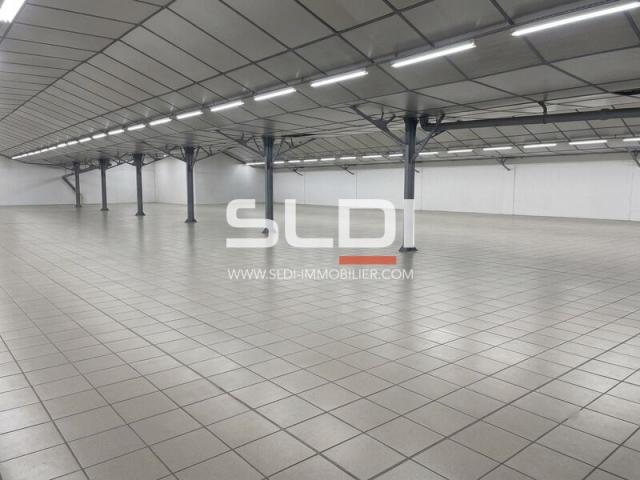 Locaux d'activités A LOUER - VILLEURBANNE - 2 306 m²