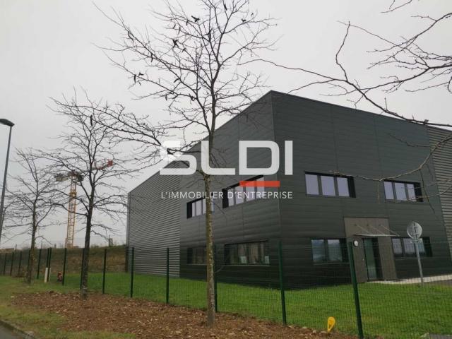 Locaux d'activités A LOUER - SAINT QUENTIN FALLAVIER - 1 016 m²