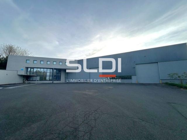 Locaux d'activités A VENDRE - JASSANS RIOTTIER - 4 185 m²