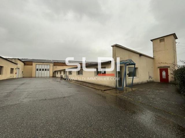 Locaux d'activités A VENDRE - JASSANS RIOTTIER - 4 185 m²