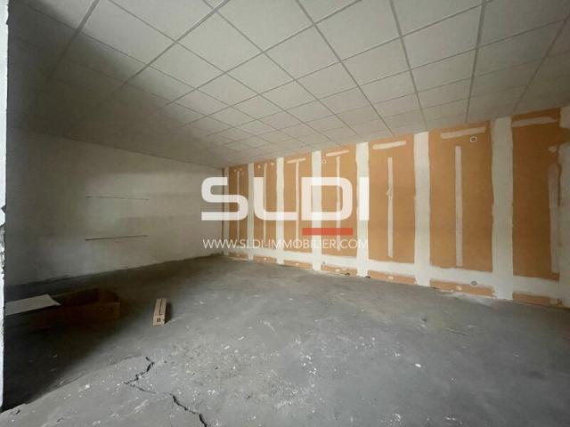 Locaux d'activités A LOUER - VILLEURBANNE - 2 400 m²