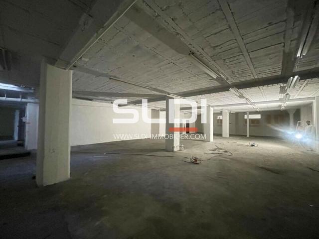 Locaux d'activités A VENDRE - VILLEURBANNE - 3 350 m²