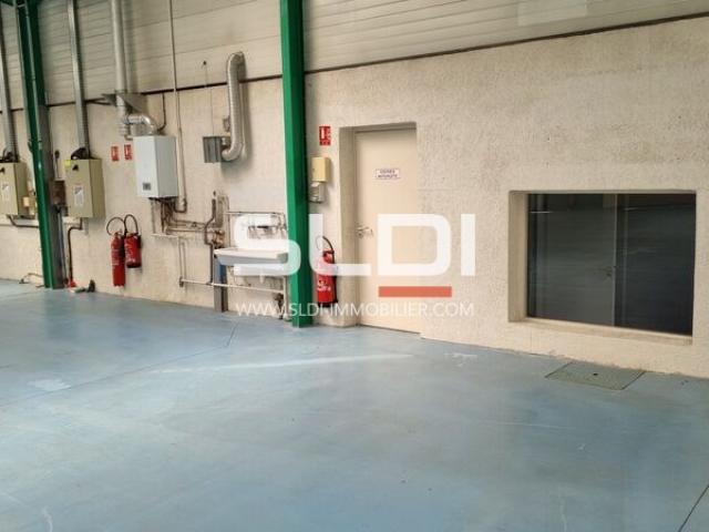 Locaux d'activités A LOUER - SAINT GENIS LAVAL - 1 438 m²