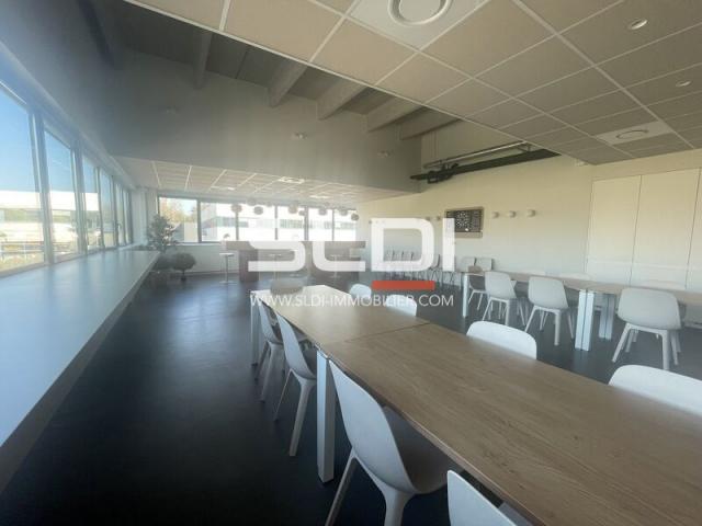 Bureaux A LOUER - CHAMPAGNE AU MONT D'OR - 300 m²