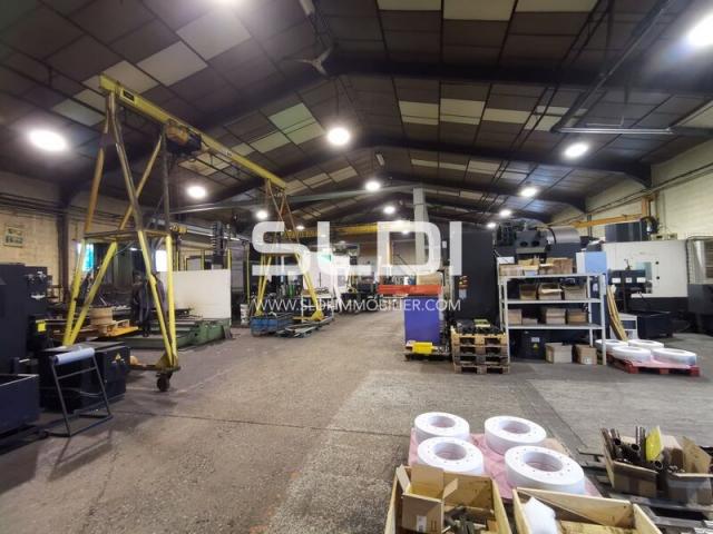 Locaux d'activités A VENDRE - BEAUVOIR DE MARC - 1 870 m²
