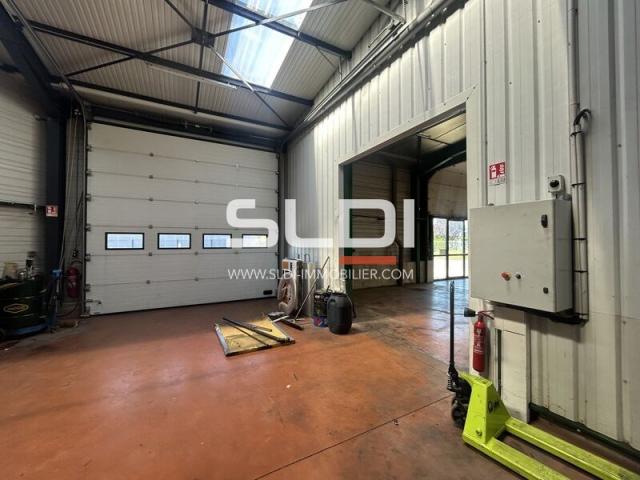Locaux d'activités A LOUER - ARNAS - 550 m²