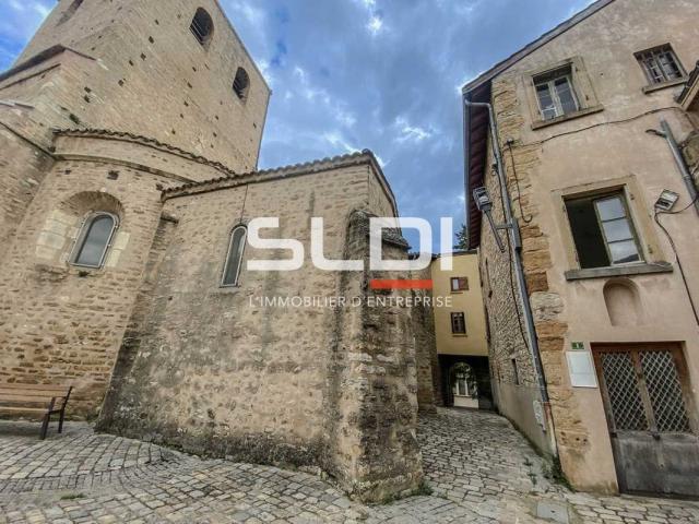 Bureaux A LOUER - SAINT CYR AU MONT D'OR - 73 m²