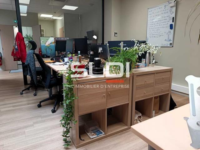 Bureaux A LOUER - VILLEURBANNE - 233 m²