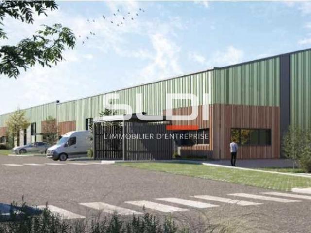 Locaux d'activités A LOUER - RILLIEUX LA PAPE - 285 m²