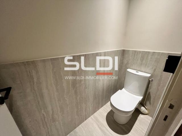 Bureaux A LOUER - LYON - 245 m²