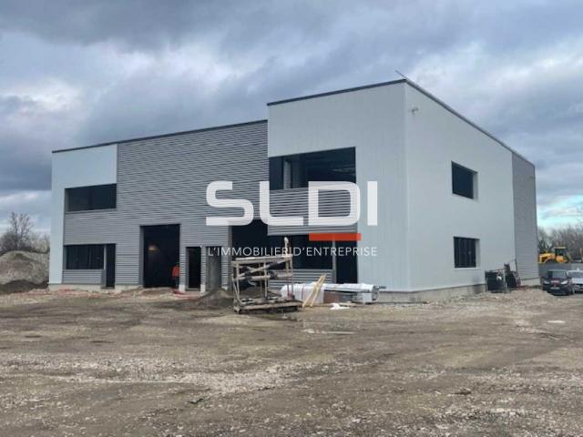 Locaux d'activités A LOUER - OULLINS-PIERRE-BÉNITE - 676 m²