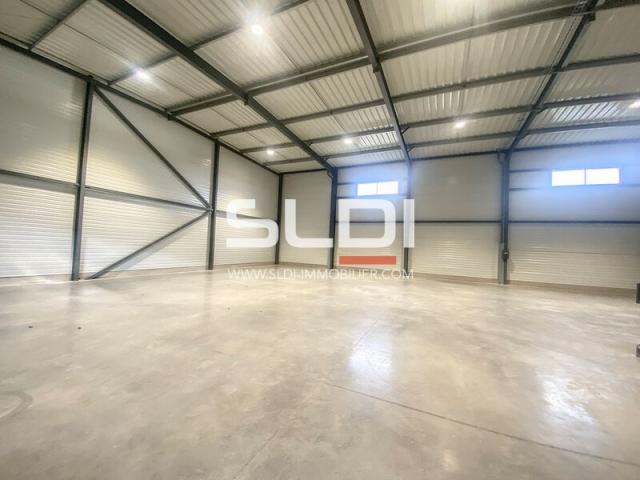 Locaux d'activités A LOUER - CHASSIEU - 2 106 m²