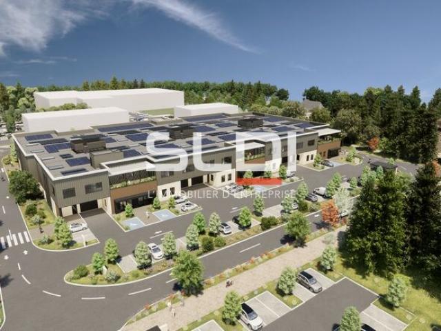 Locaux d'activités A LOUER - DECINES CHARPIEU - 5 267 m²