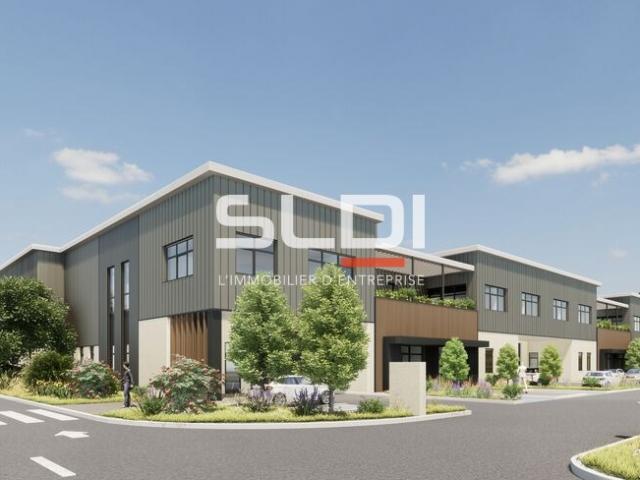 Locaux d'activités A LOUER - DECINES CHARPIEU - 5 267 m²