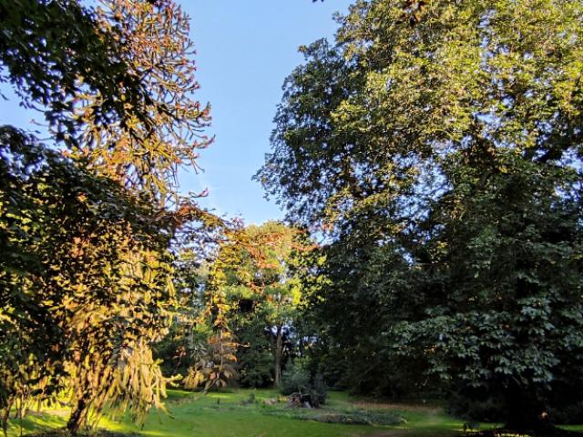 Terrain 90㎡ PAS EN ARTOIS