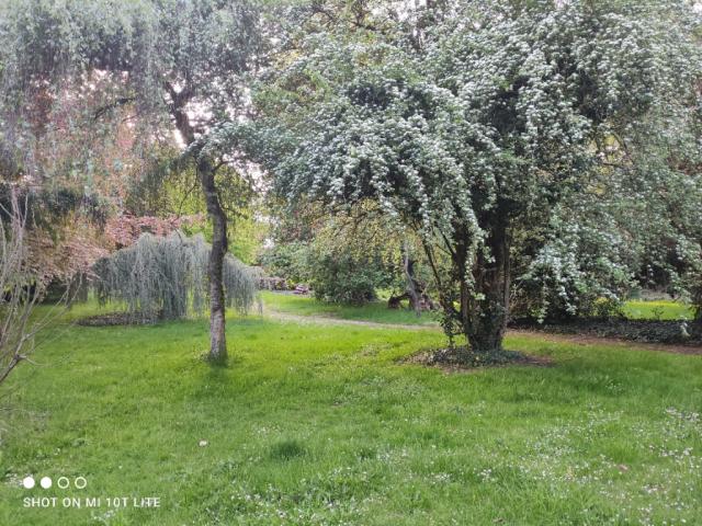 Terrain 18591㎡ PAS EN ARTOIS