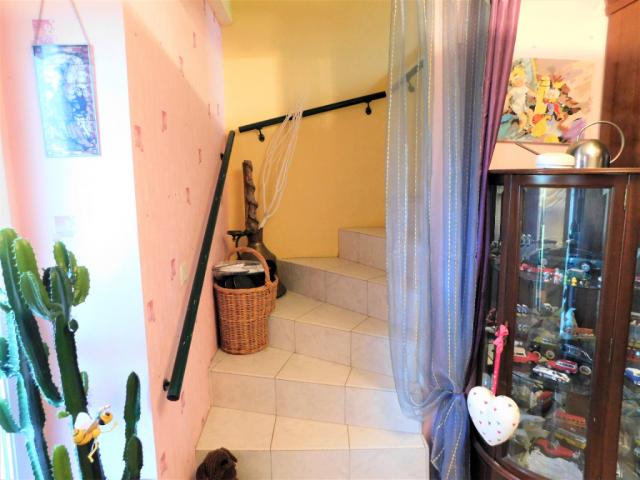 Maison 235㎡ BERCK