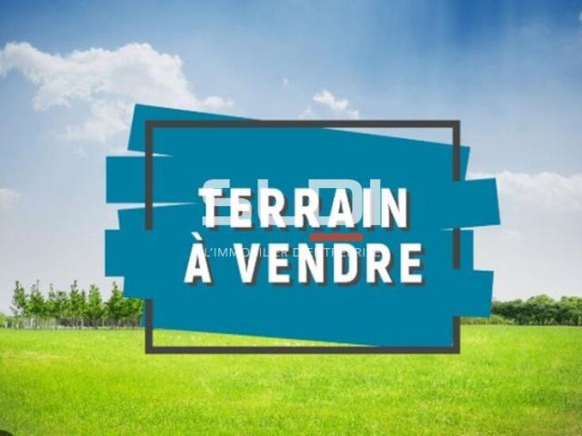 Terrains A VENDRE - MILLERY - 34 159 m²