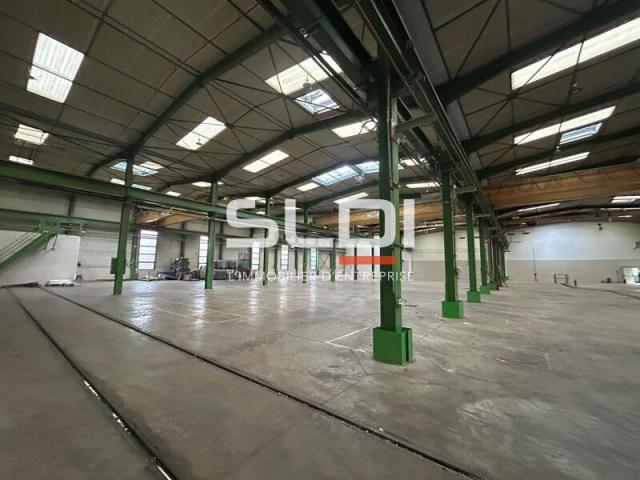 Locaux d'activités A VENDRE OU A LOUER - JASSANS RIOTTIER - 7 883 m²