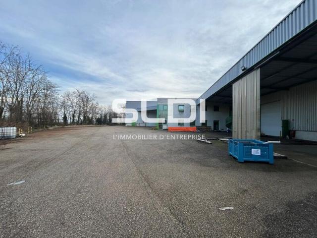 Locaux d'activités A VENDRE OU A LOUER - JASSANS RIOTTIER - 7 883 m²