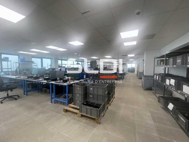 Locaux d'activités A LOUER - CHAMPAGNE AU MONT D'OR - 410 m²