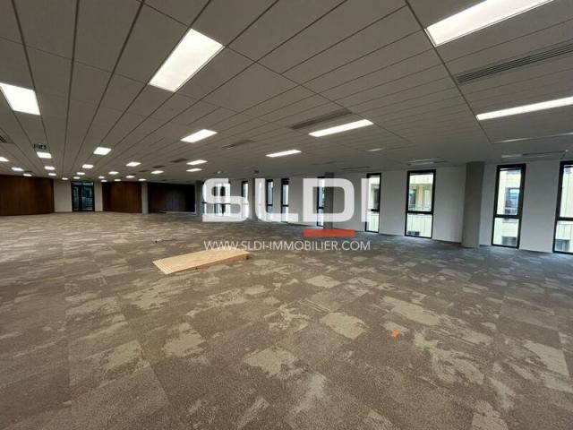Bureaux A LOUER - LIMONEST - 5 998 m²