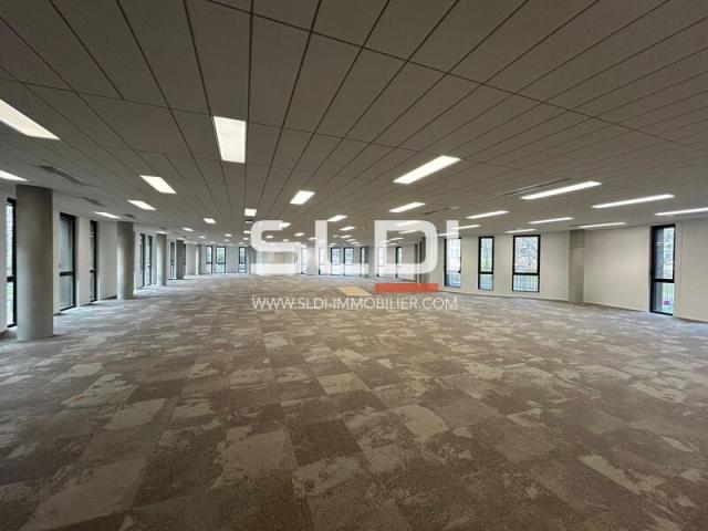 Bureaux A LOUER - LIMONEST - 5 998 m²