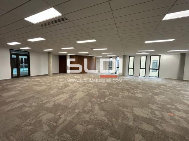 Bureaux A LOUER - LIMONEST - 5 998 m²