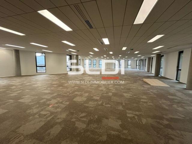 Bureaux A LOUER - LIMONEST - 5 998 m²