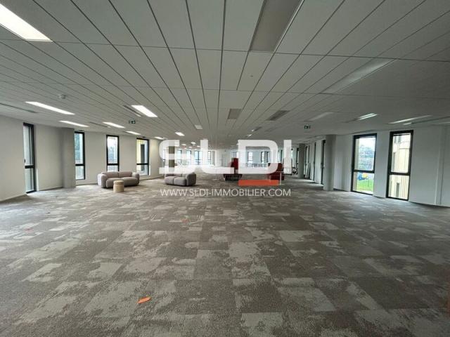 Bureaux A LOUER - LIMONEST - 5 998 m²