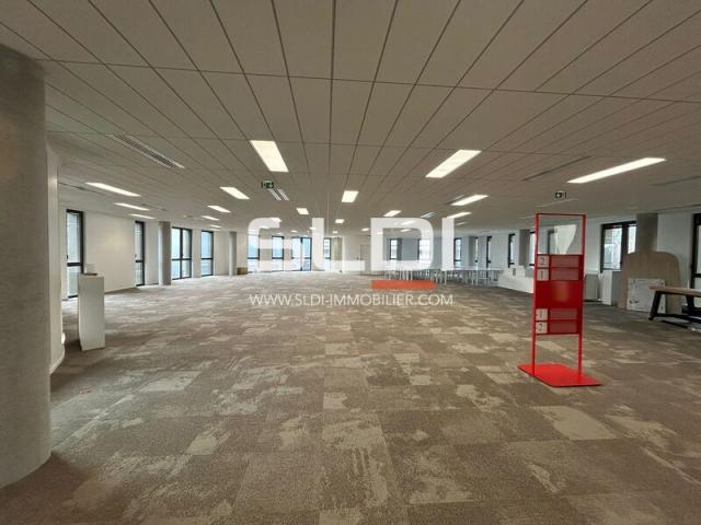 Bureaux A LOUER - LIMONEST - 5 998 m²