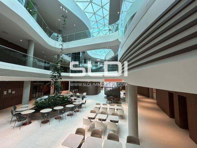 Bureaux A LOUER - LIMONEST - 5 998 m²